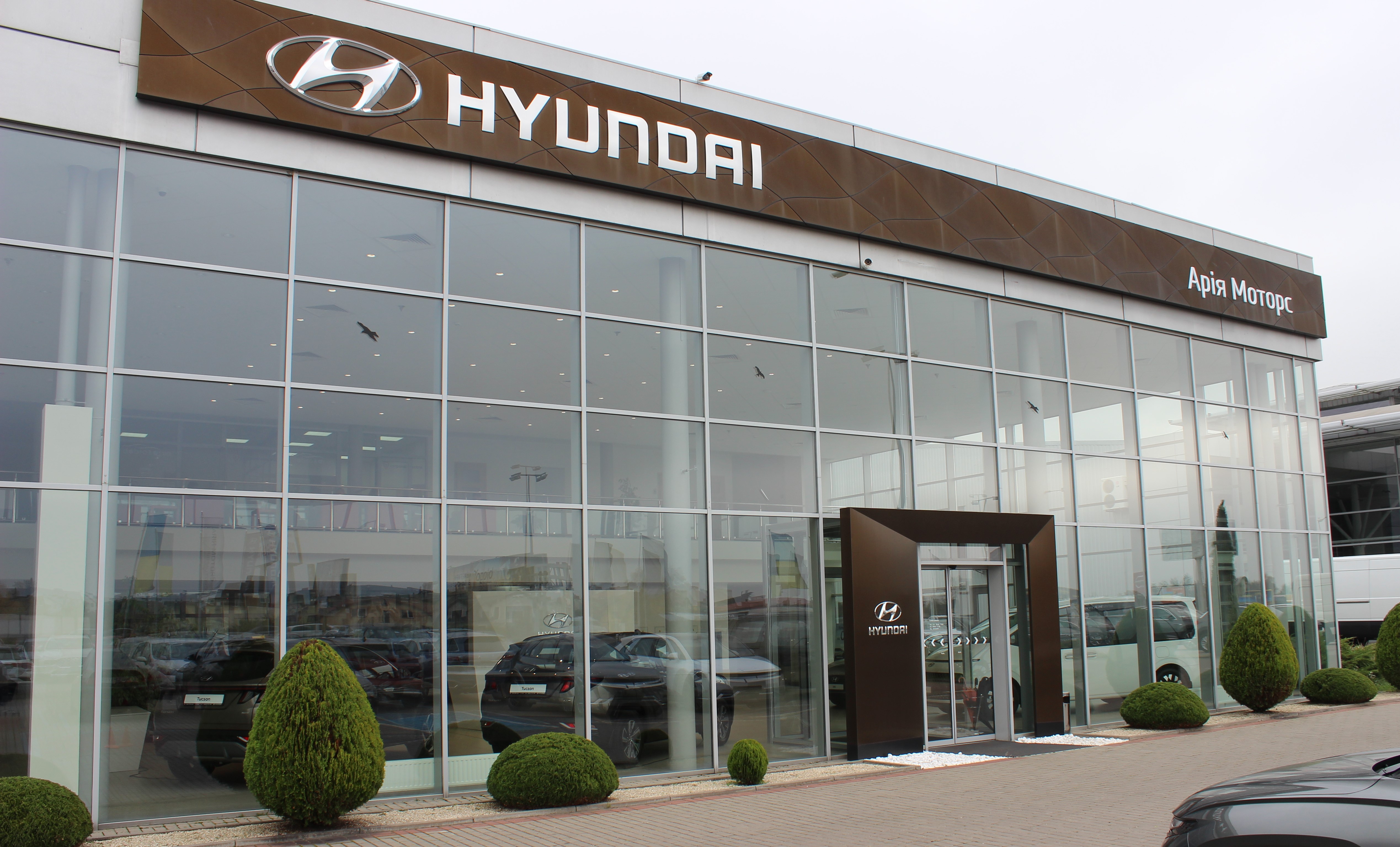 Hyundai купити в Запоріжжі. Нові Хюндай. Ціни на авто Hyundai в Запоріжжі - фото 6