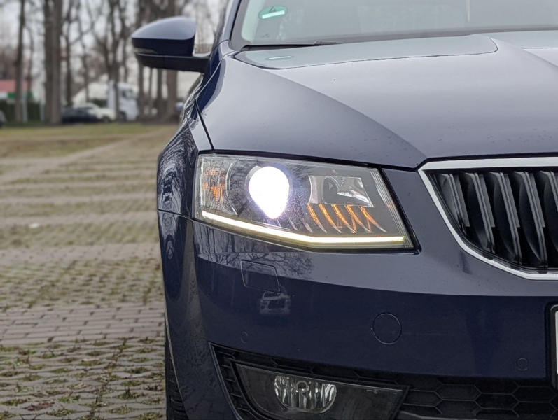 Hyundai купити в Запоріжжі. Нові Хюндай. Ціни на авто Hyundai в Запоріжжі - фото 13